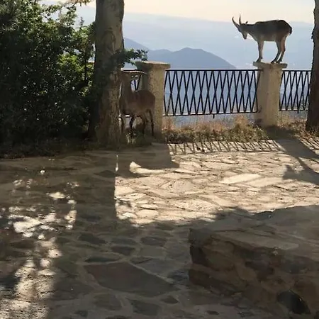 Luxury Sierra Nevada Apartment Granada